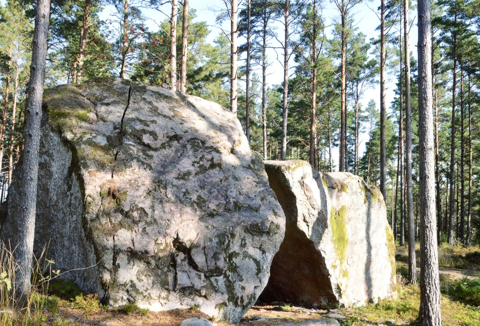 Odota vielä hetki